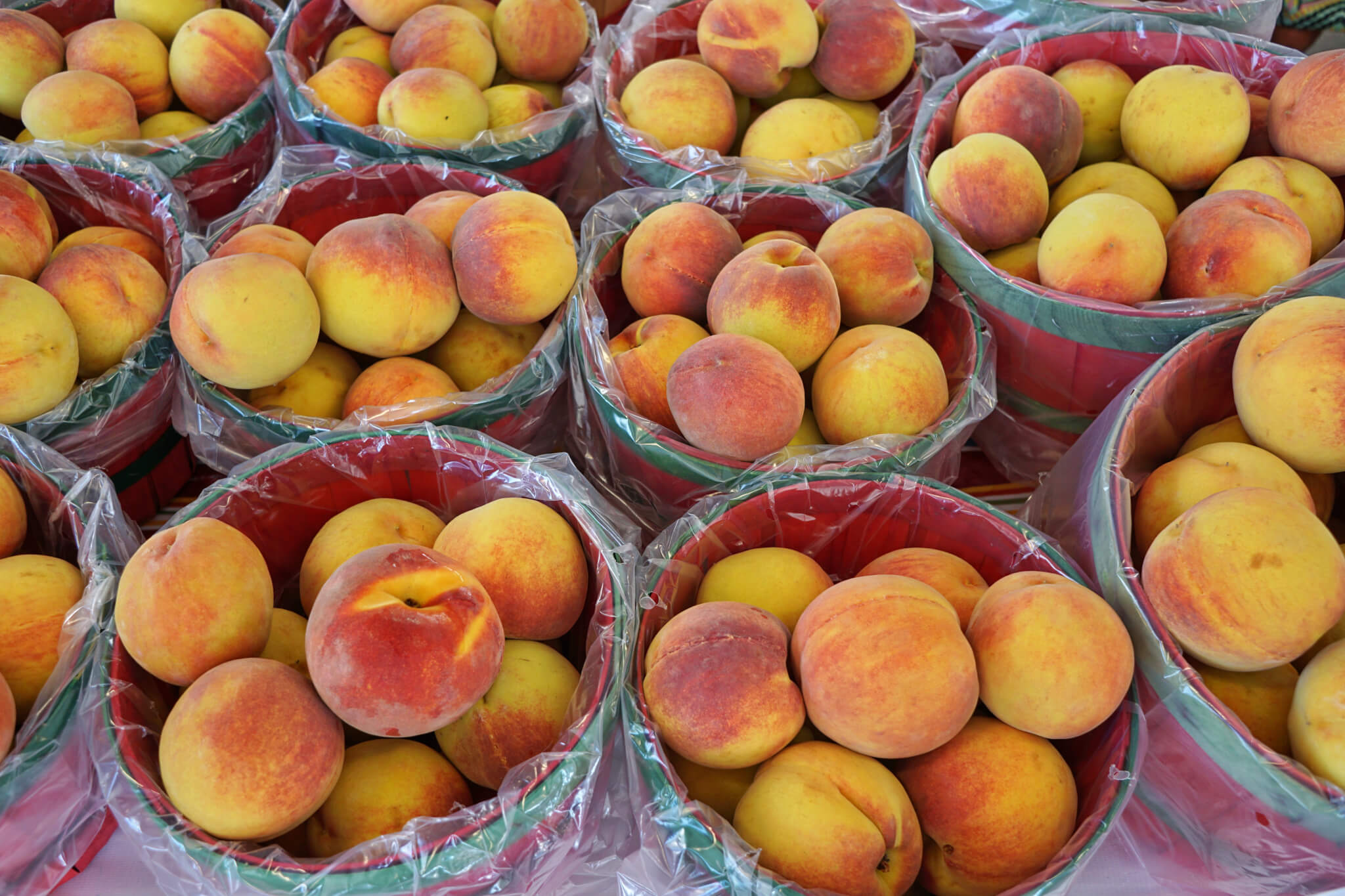 9 Pick-Your-Own Peach(es Peaches, Peaches, Peaches, Peaches) Orchards in Virginia 9 Pick-Your-Own Peach(es Peaches, Peaches, Peaches, Peaches) Orchards in Virginia