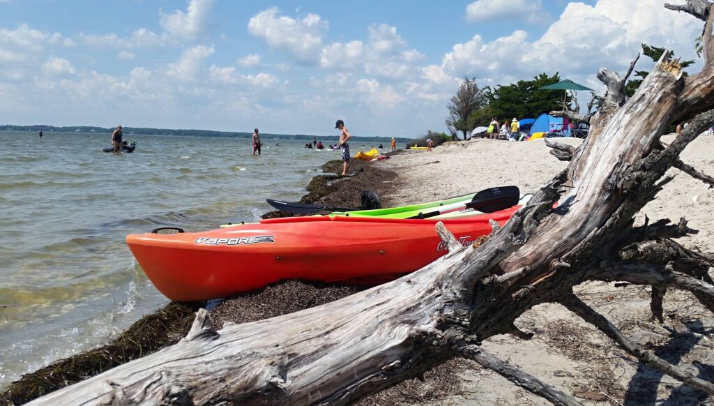 Assateague Island National Seashore, one of the cleanest beaches in Virginia