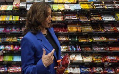 High food prices are hurting Virginia families. Here’s what Kamala Harris has proposed to lower costs.