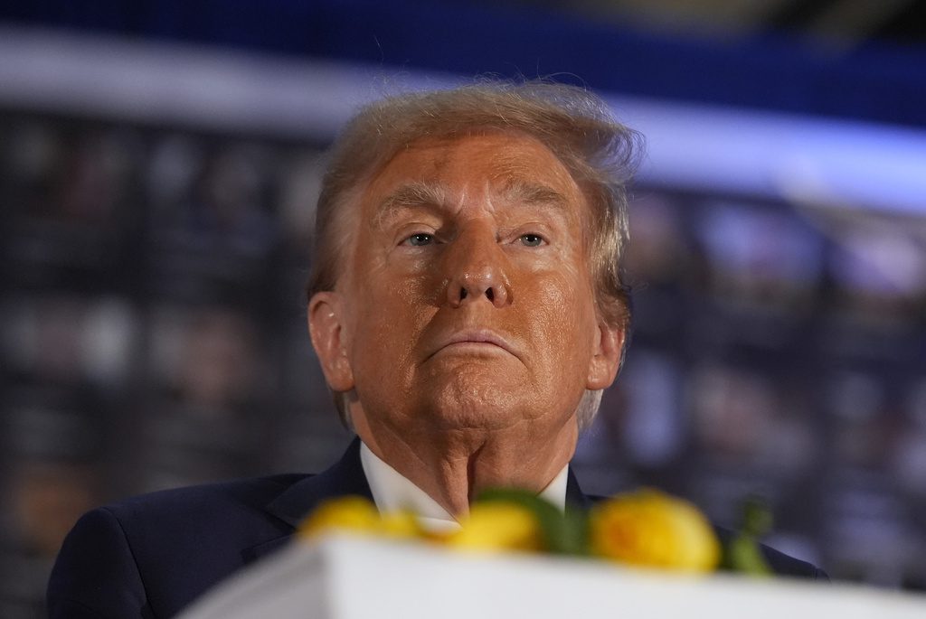 Election 2024 - Dogwood