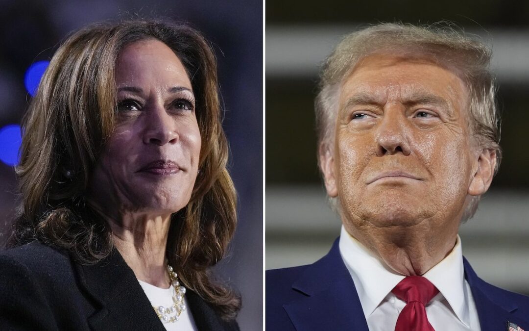 Presidential race too close to call as vote counts continue in key swing states