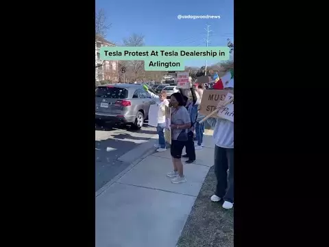 POLITICS VIDEO - Dogwood
